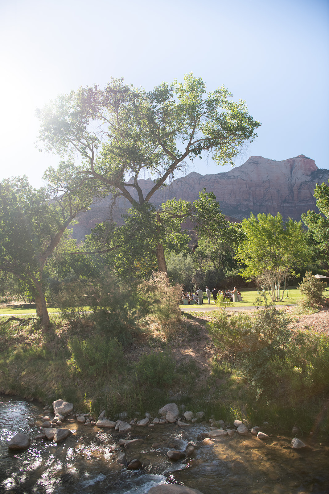 Black Walnut The Meadow, Zion National Park Wedding Venues, Zion Elopement, Zion Elopement Photographer