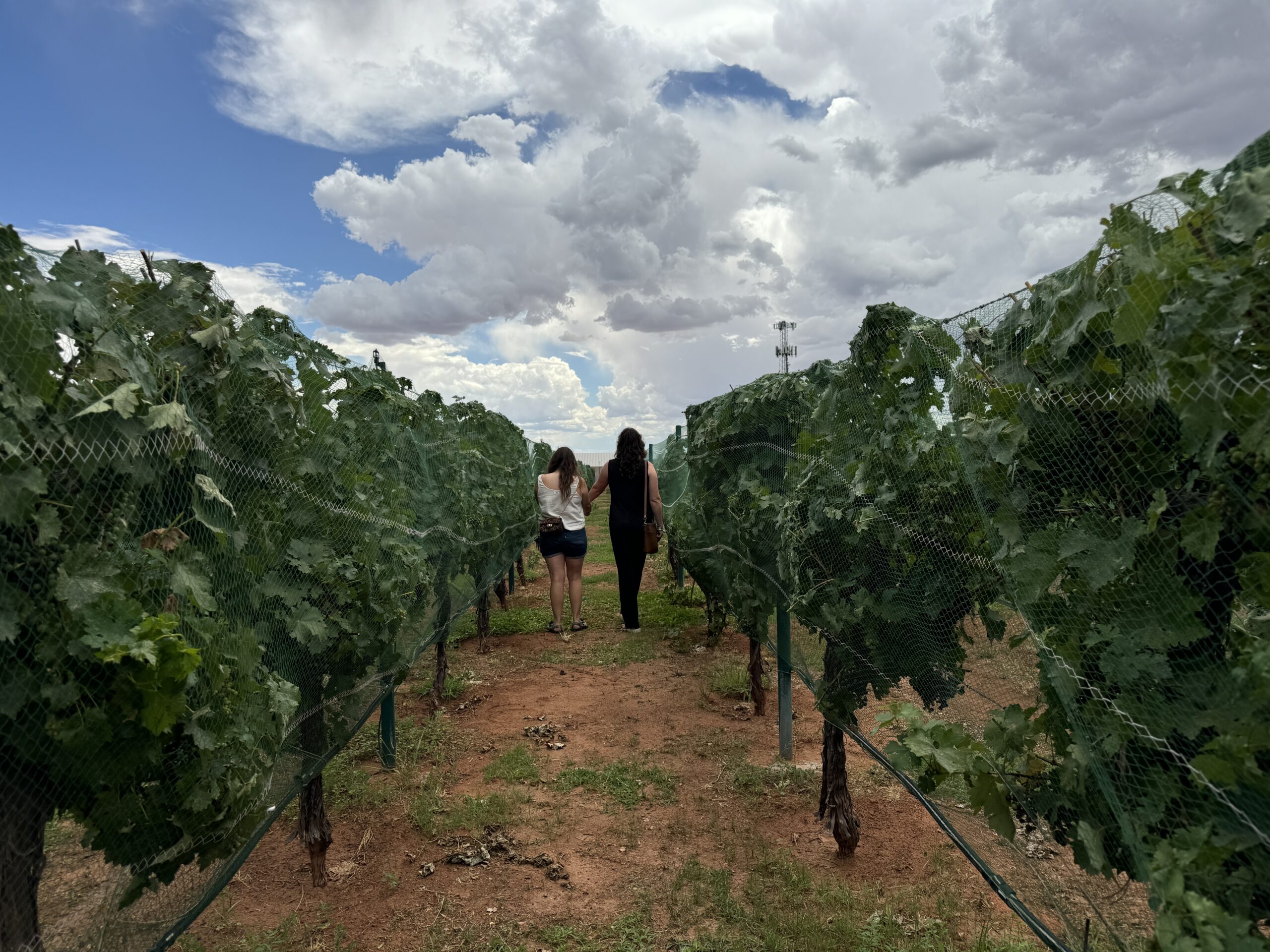 Zion Wineries to Visit for Couples on Honeymoon