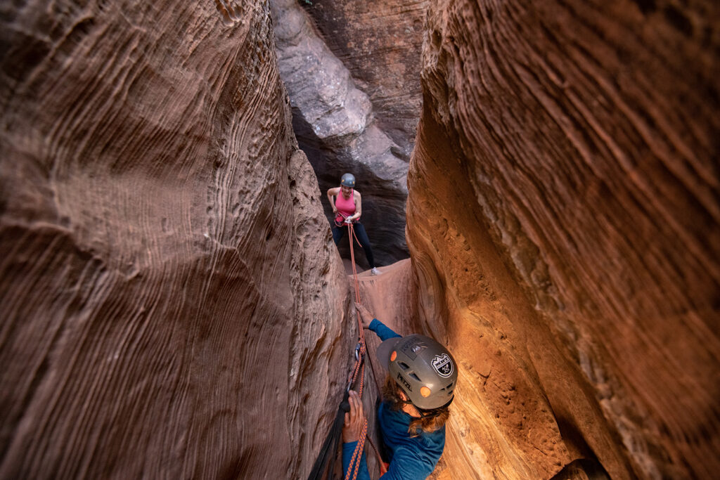 Best Guided Tours in Zion