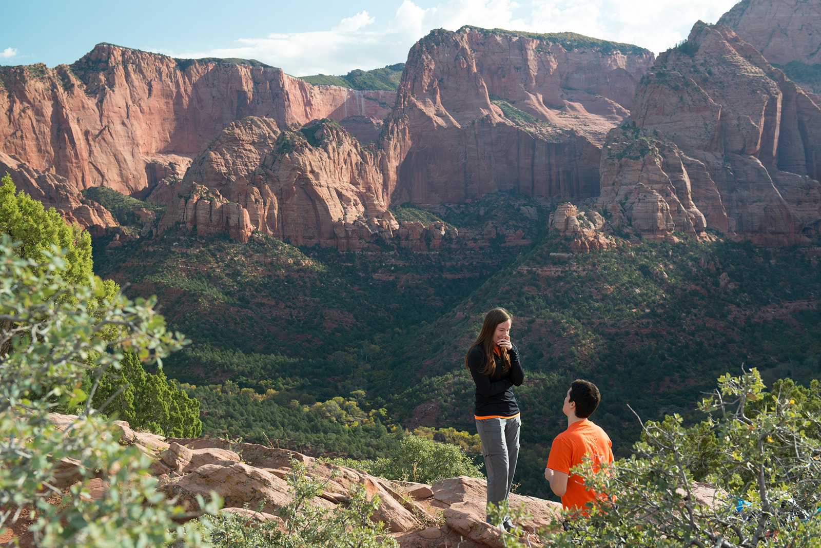 Timber Creek Overlook in Zion Proposal