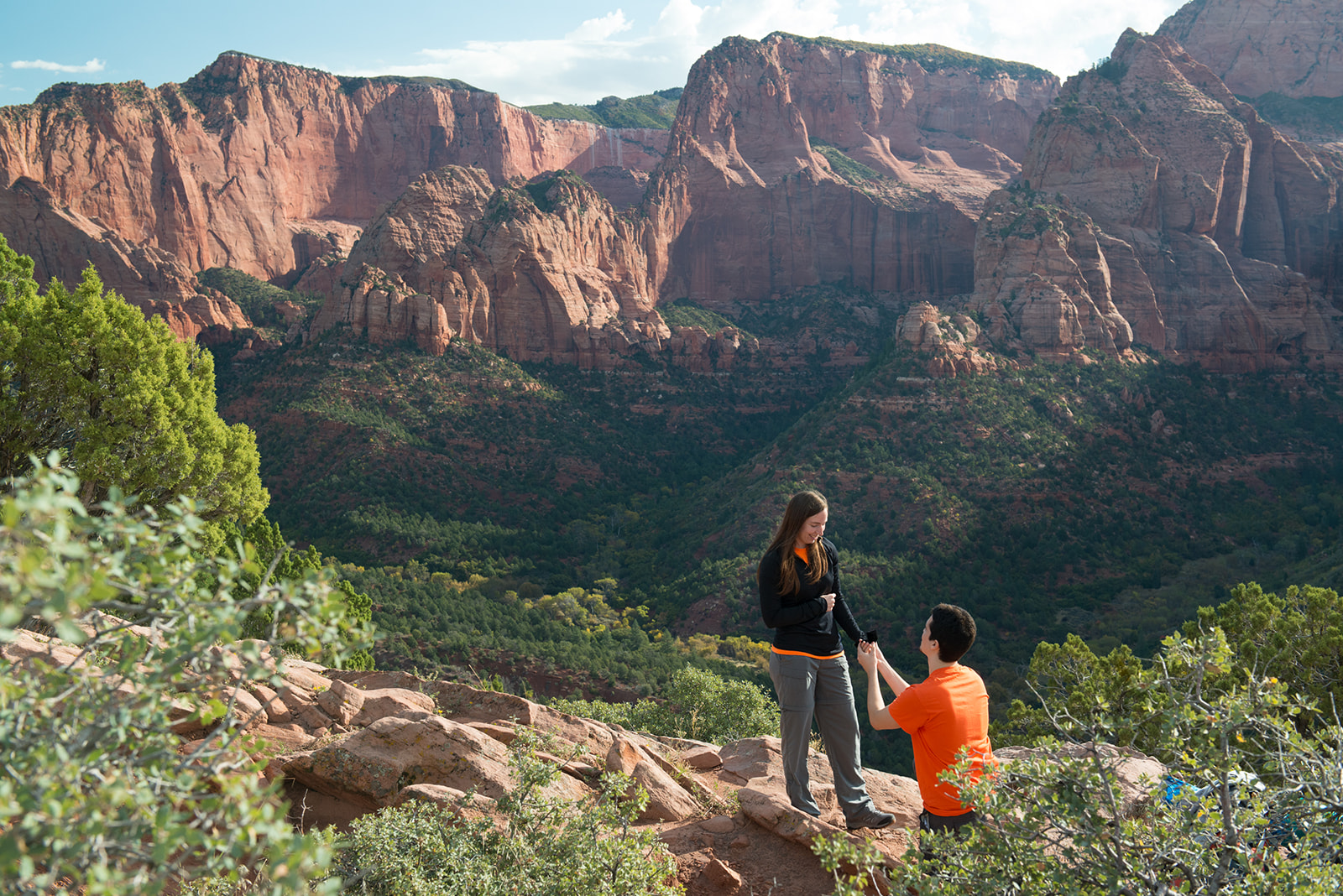 Zion Proposal Photography Timber Creek Overlook