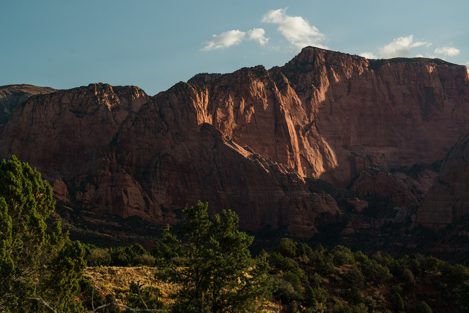 Timber Creek Overlook in Zion