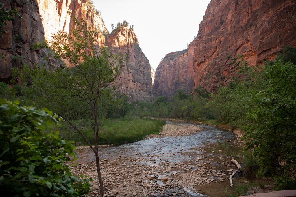 The Zion Narrows Riverside Walk